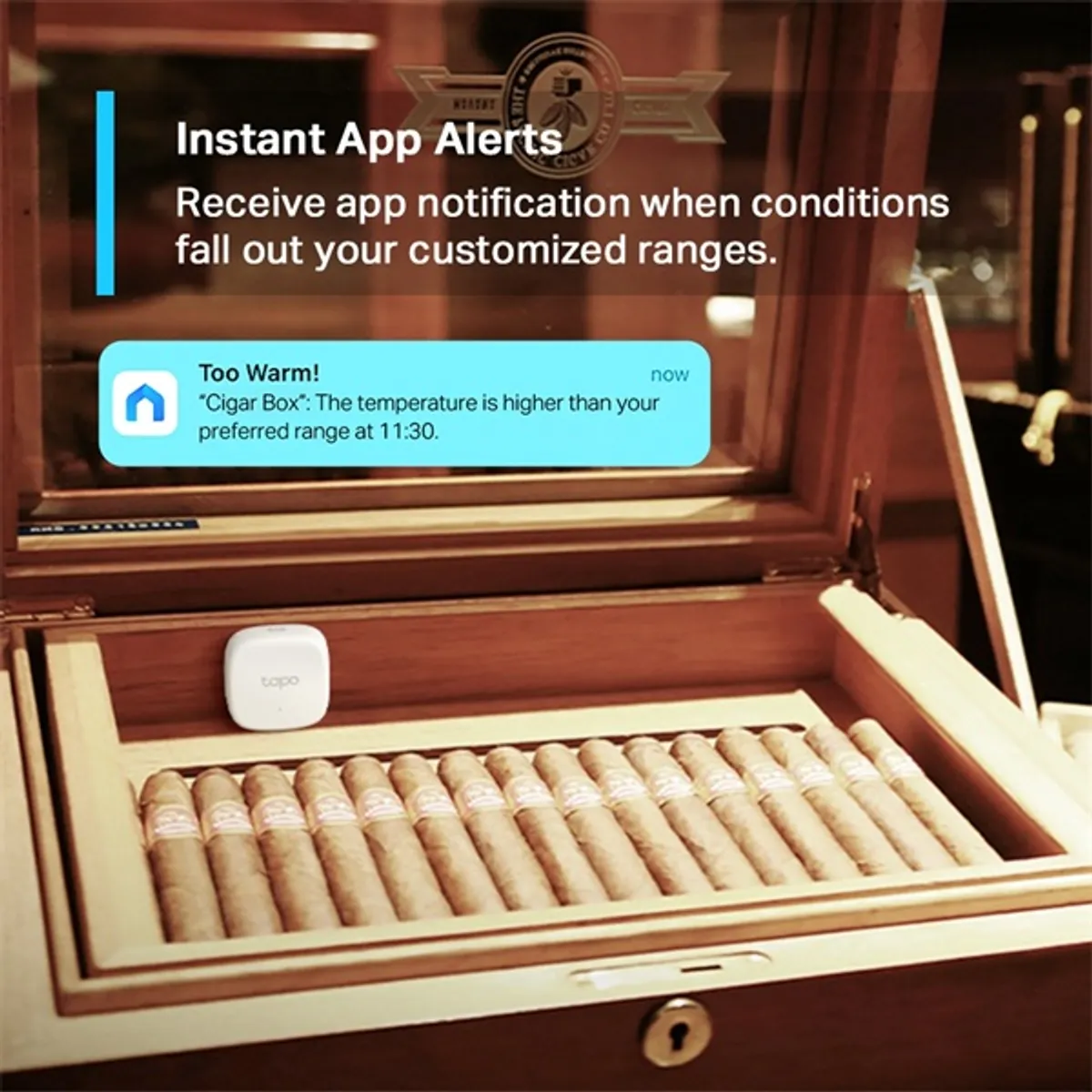 TP-Link Tapo T310 fehér okos hőmérséklet és páratartalom jelző #4