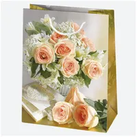 IRIS ajándéktasak, különböző színekben és mintákkal, 405x560x250 mm #3