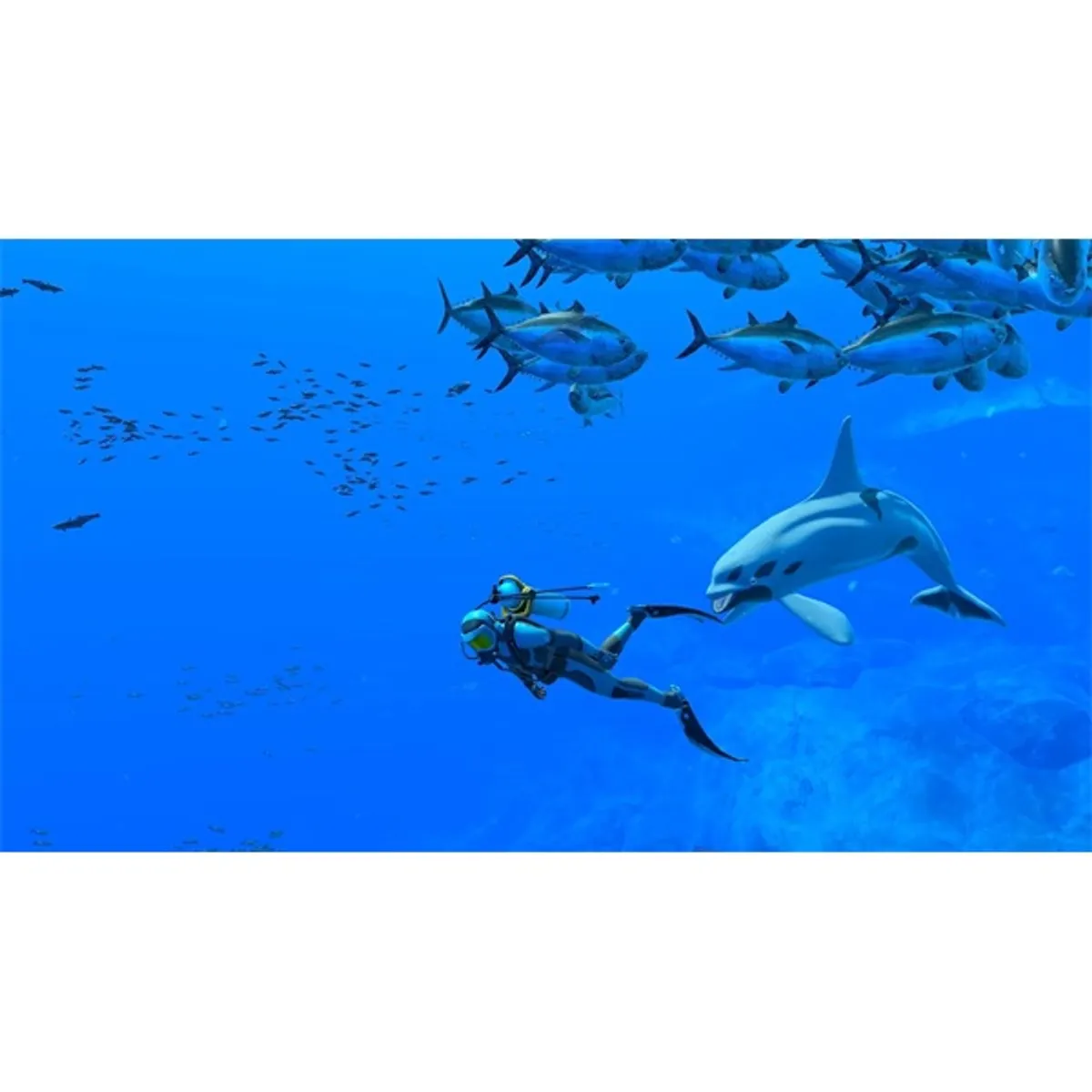 Endless Ocean Luminous Nintendo Switch játékszoftver #5