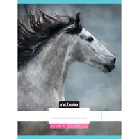 Nebulo L-Design A4 80-32 tűzött sima füzet #7