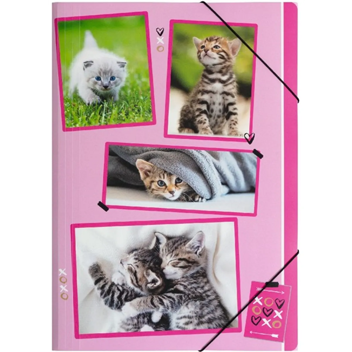 Pagna A4 PP macskák gumismappa #1