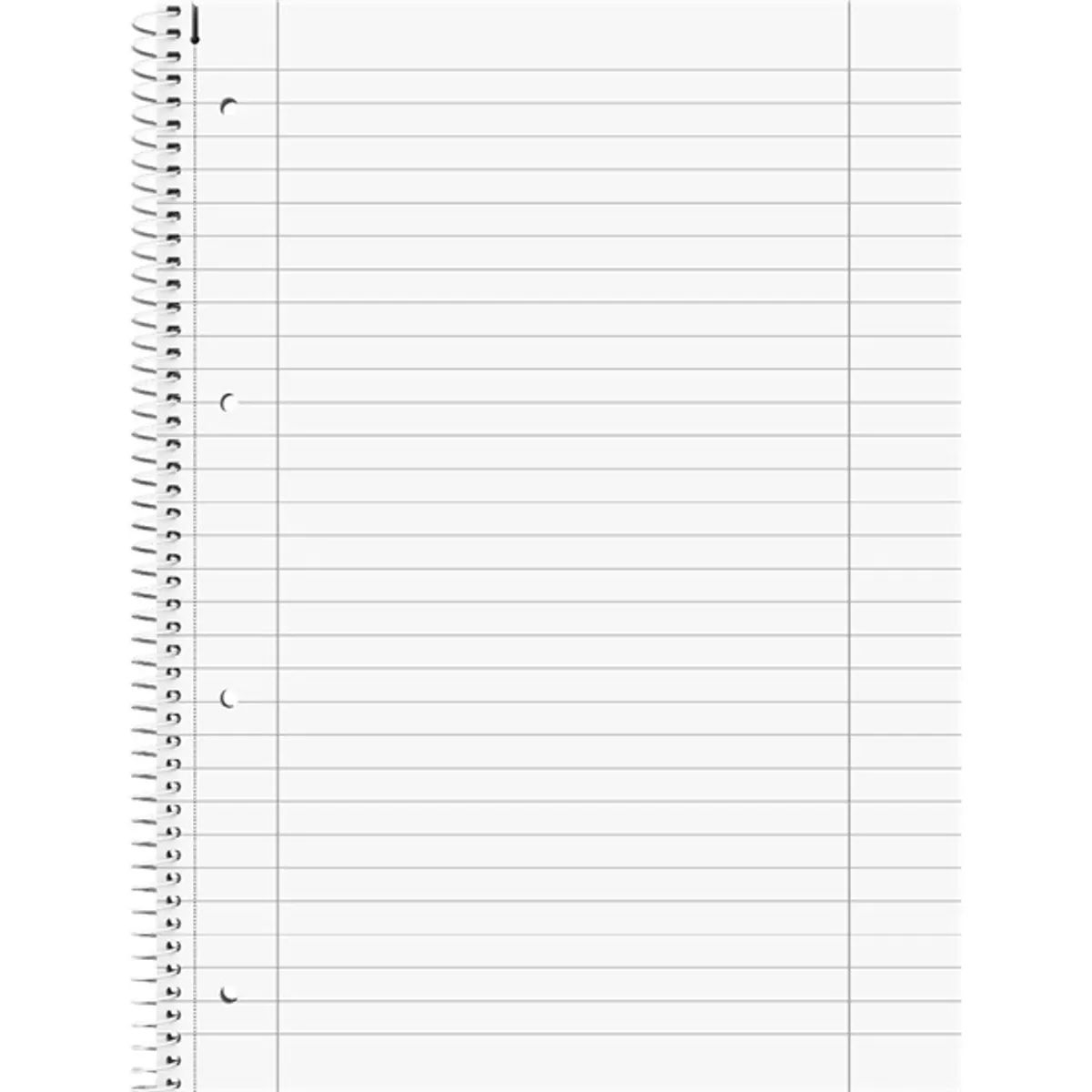 Brunnen A4 80 lapos vonalas fémes spirálfüzet #2