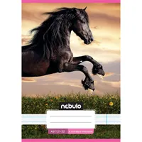 Nebulo Cuki minták II. A5 4. osztályos 21-32 tűzött vonalas füzet #2