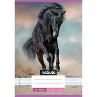 Nebulo Cuki minták A5 2. osztályos 16-32 tűzött vonalas füzet #6