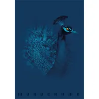 Pigna Monocromo Blue A4 tűzött 38 lapos kockás füzet #2