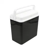 FLAIR 61630 New Star 24L antracit hűtőtáska