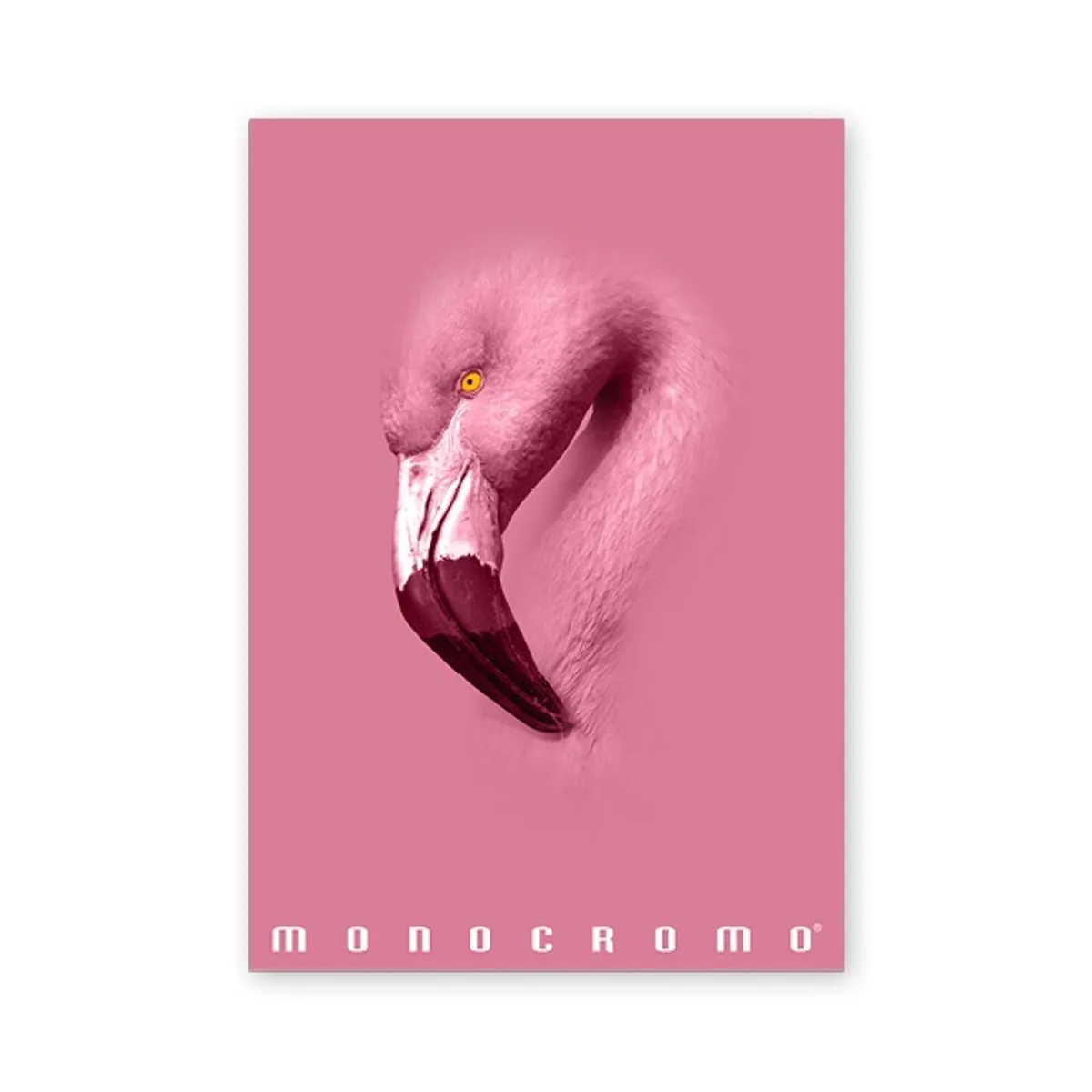 Pigna Monocromo Pink A4 38 lap, tűzött, kockás füzet #4