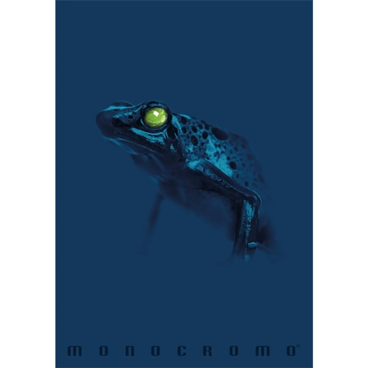 Pigna Monocromo Blue A4 tűzött 38 lapos kockás füzet #3