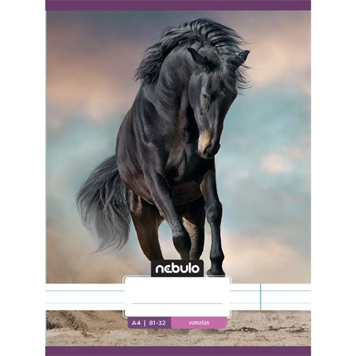 Nebulo L-Design A4 81-32 tűzött vonalas füzet #6