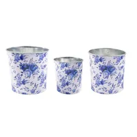 IRIS bádog kaspó x3db kék virág 11 5-15cm