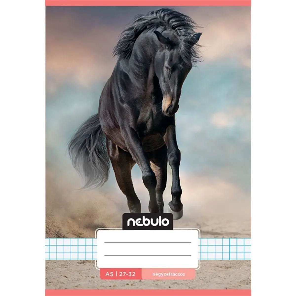 Nebulo Cuki minták A5 27-32 tűzött kockás füzet #6