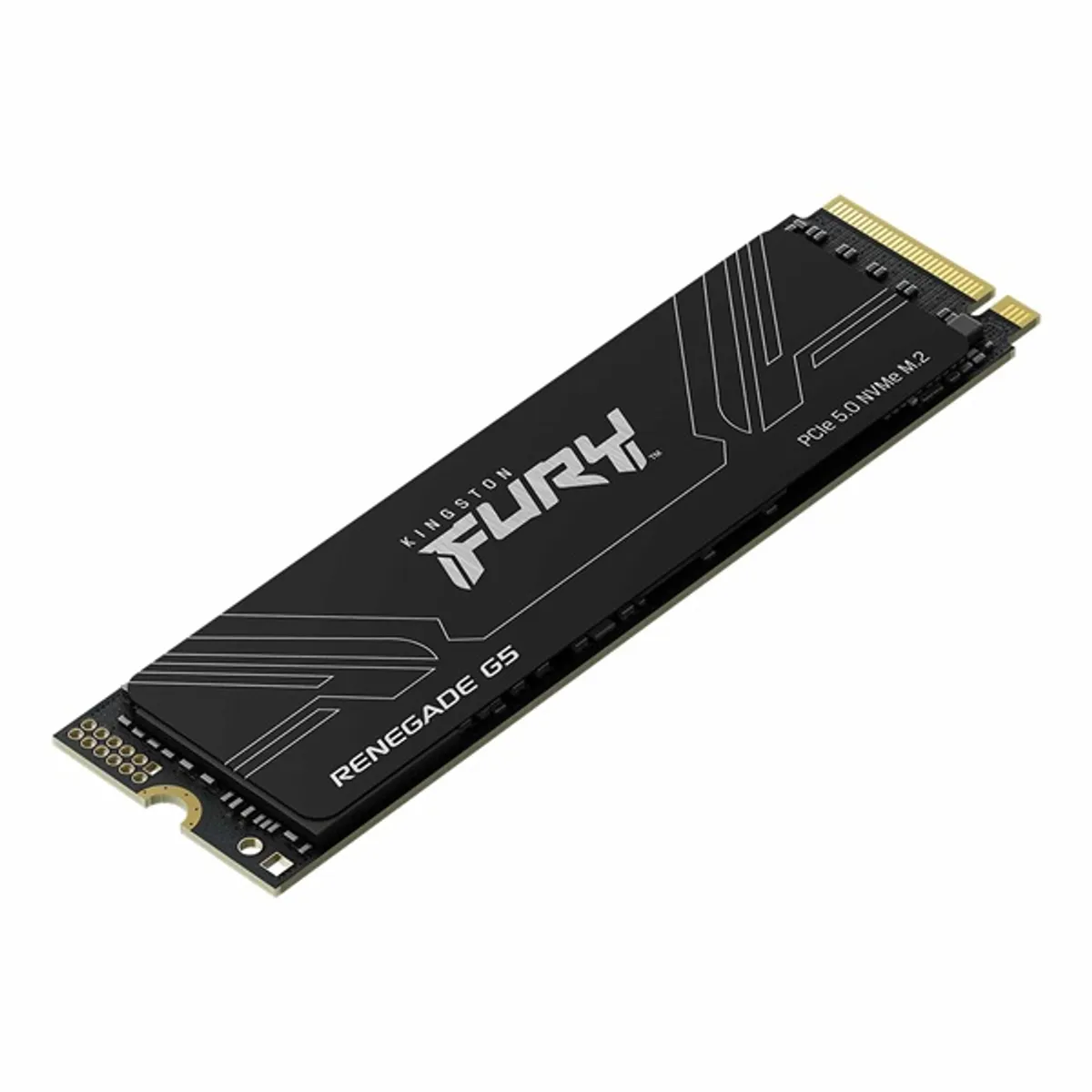 Kingston 1TB M.2 PCIe 5.0 FURY Renegade G5 (SFYR2S/1T0) SSD #2