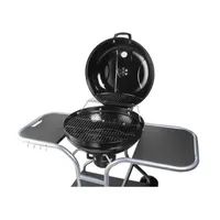 Fieldmann FZG 1014 faszenes kerti grill kocsi #2