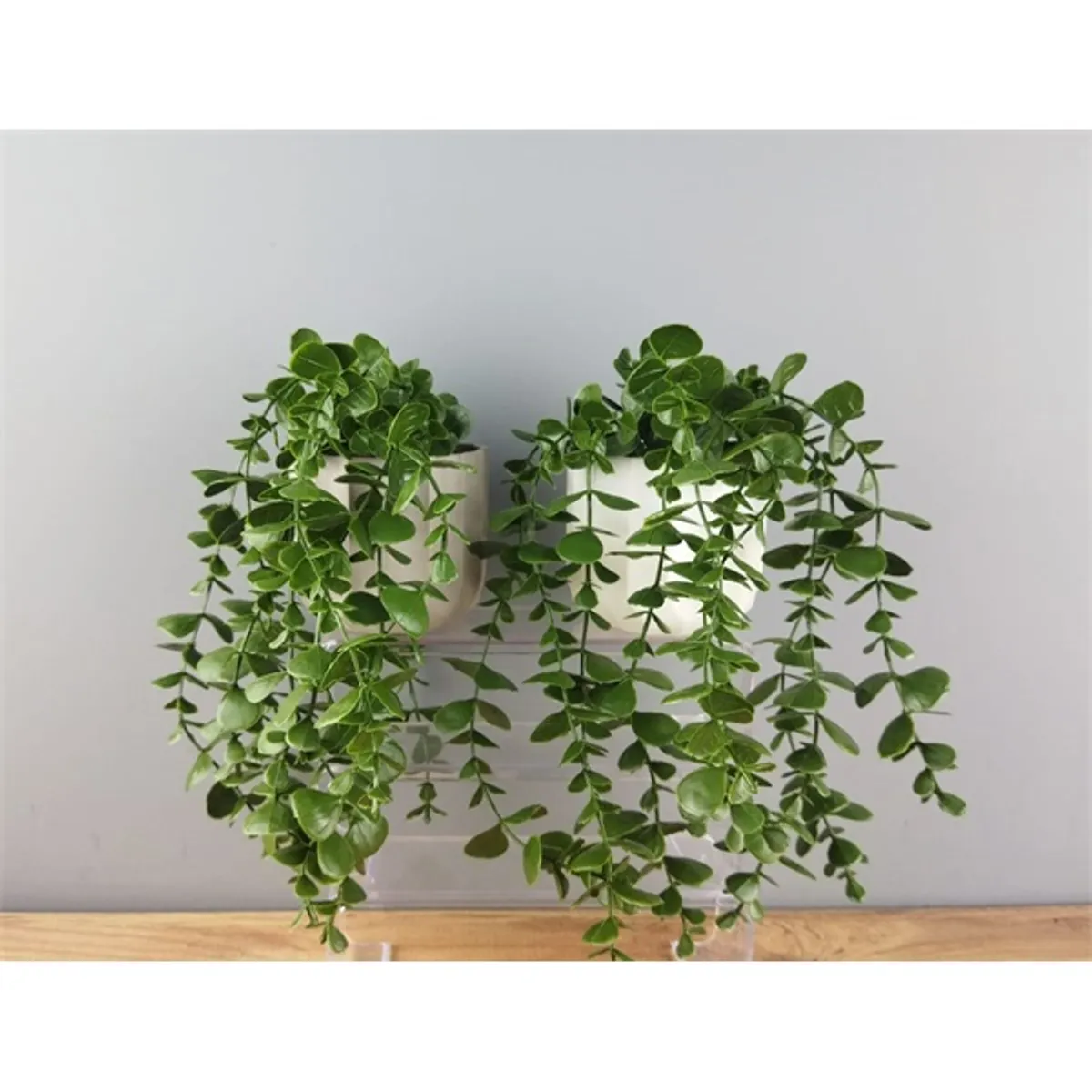 IRIS E5810 dekoráció művirággal cserépben 16x26cm #1