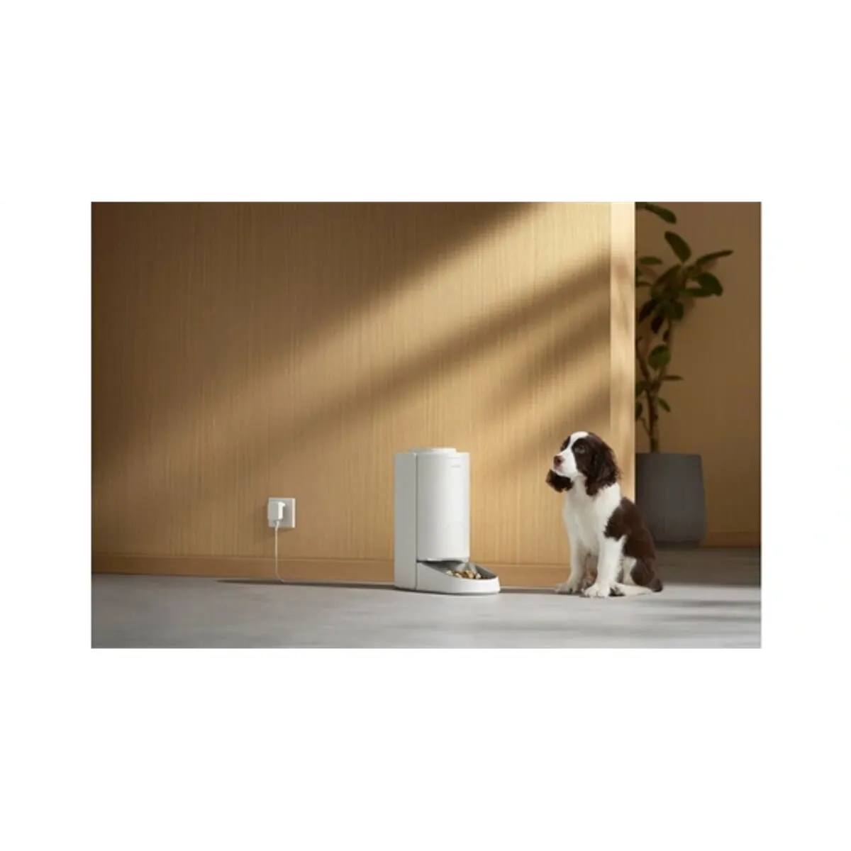 Mova Pet Feeder PF10 Pro okos kisállat etető #4