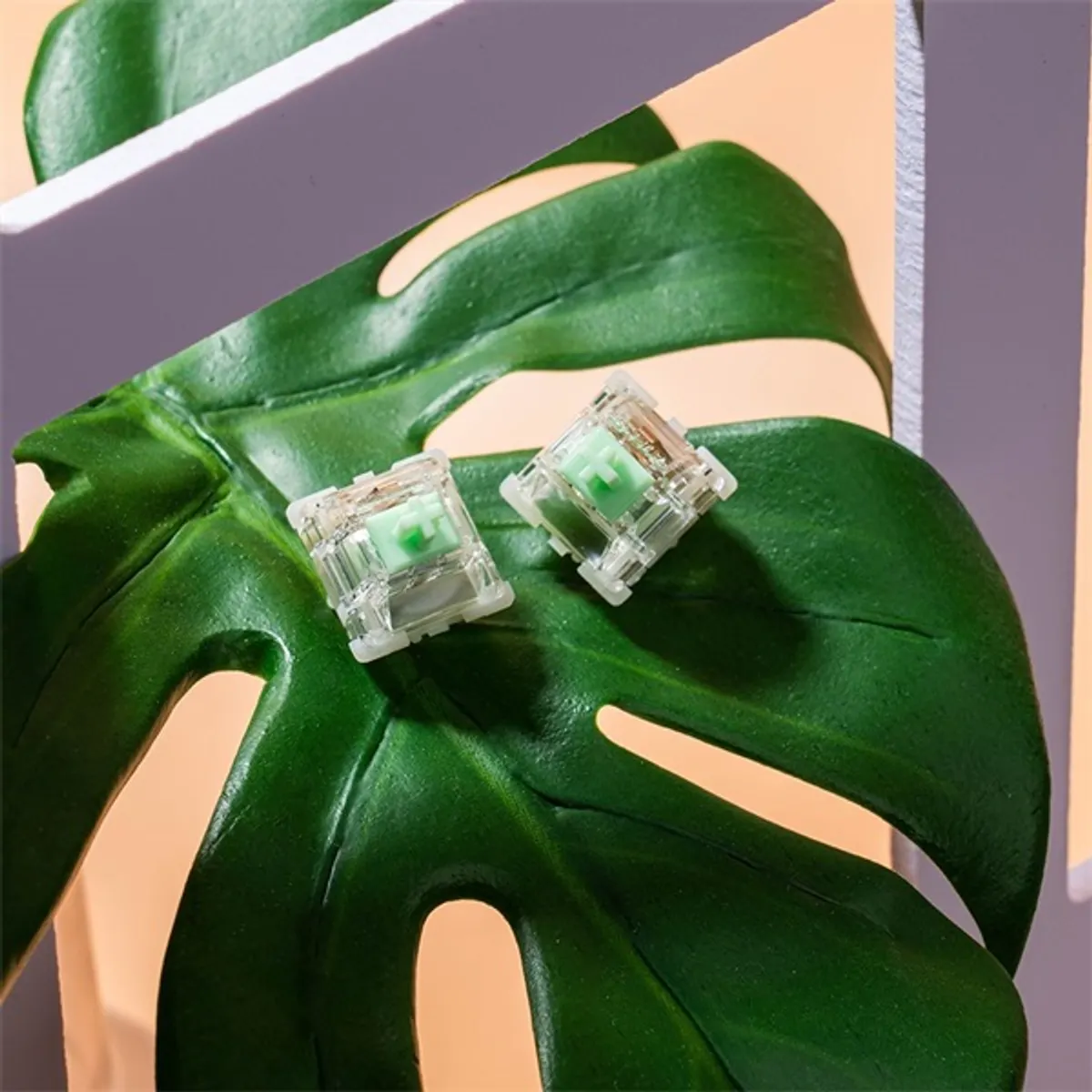 Gateron Baby Kangaroo V2.0 Tactile Switch - Prémium mechanikus kapcsoló szett (35db) #5