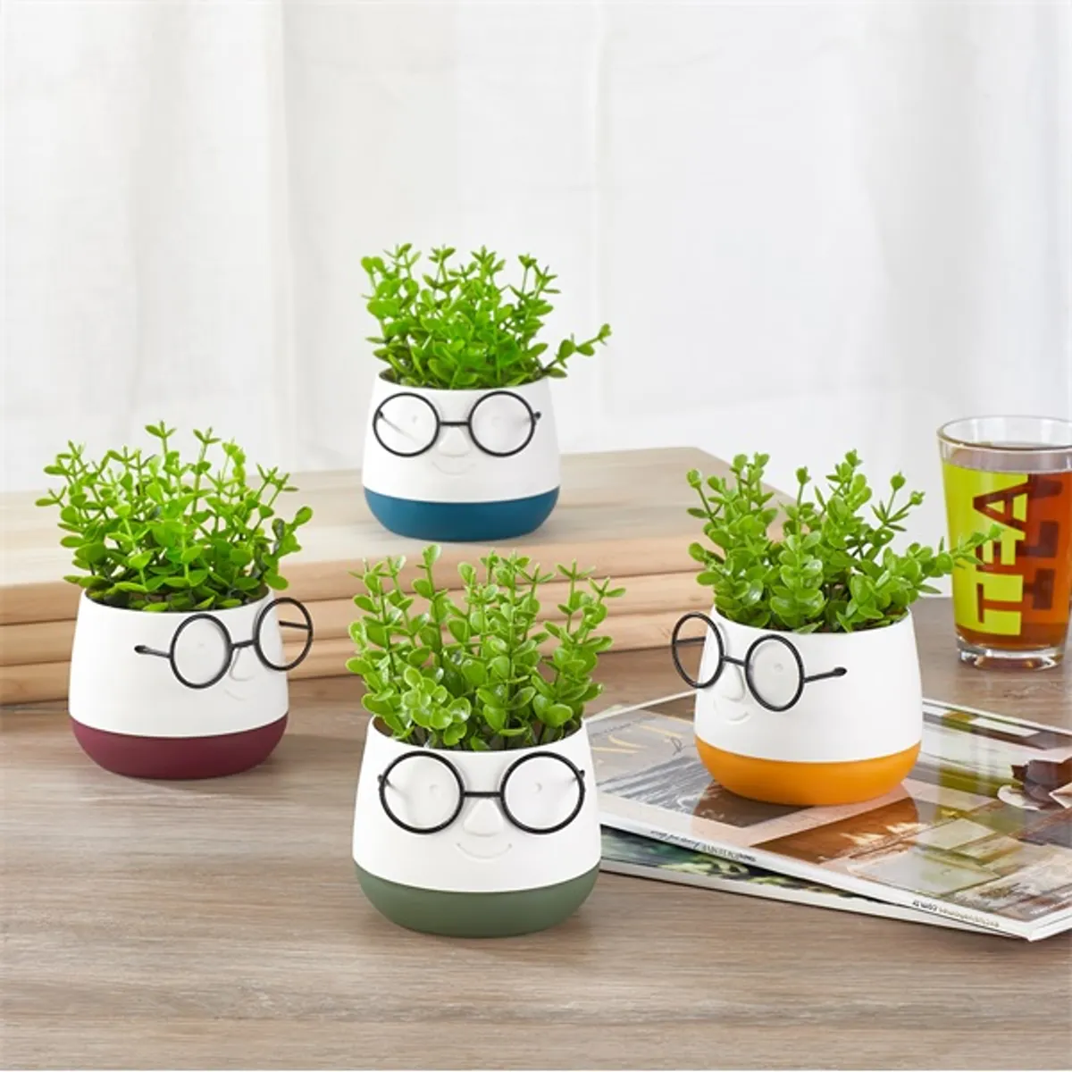 IRIS E5720 szemüveges fej dekoráció művirággal kétszínű cserépben 9x14cm #1