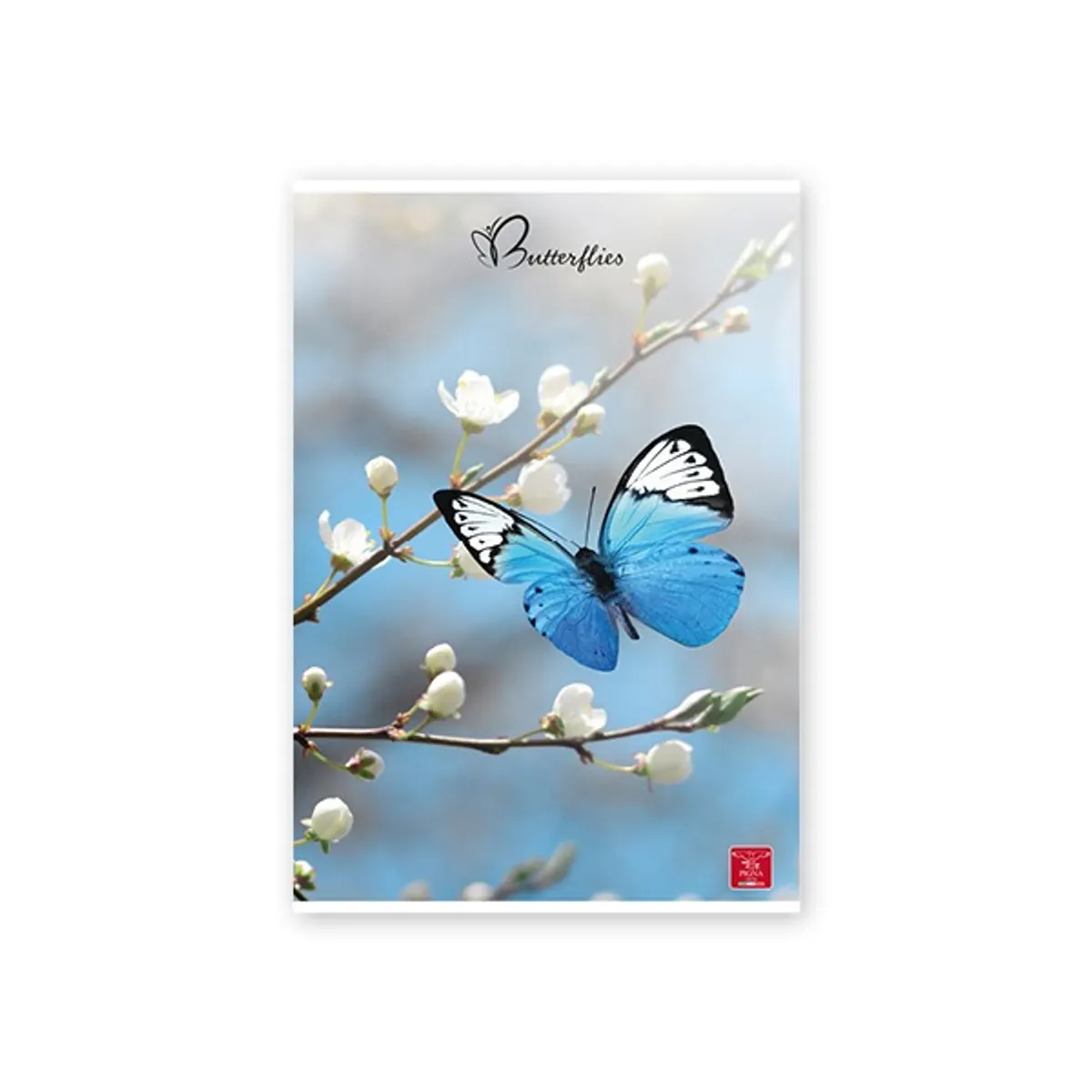 Pigna Butterflies A4 42 lap, tűzött, kockás füzet #3