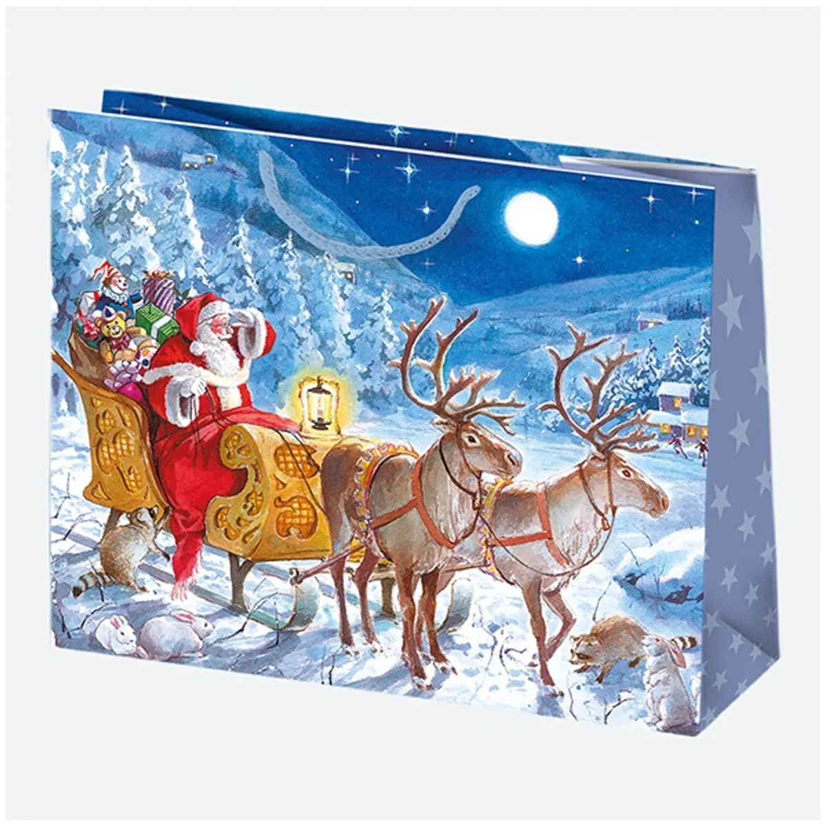 IRIS Karácsonyi ajándéktasak, 300x230x100 mm, különböző színekben és mintával #2